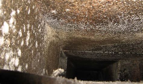 mold in hvac ducts